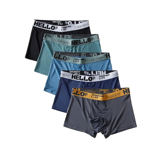 Boxer casual 5 pezzi traspiranti con fascia elastica da uomo - Boxer uomo ATREND